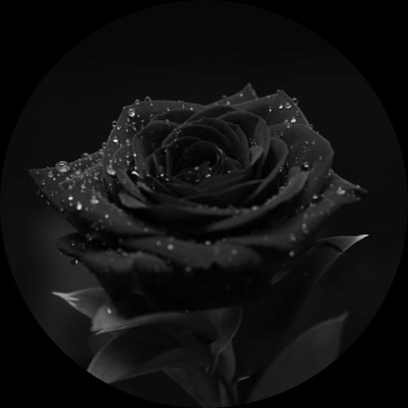 theblackrose13